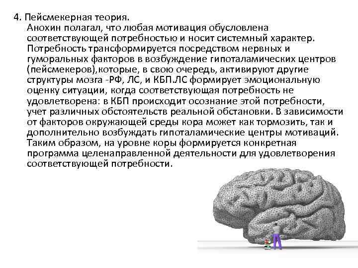 4. Пейсмекерная теория. Анохин полагал, что любая мотивация обусловлена соответствующей потребностью и носит системный