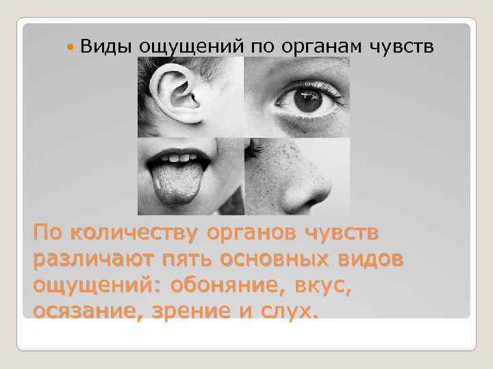  Виды ощущений по органам чувств По количеству органов чувств различают пять основных видов