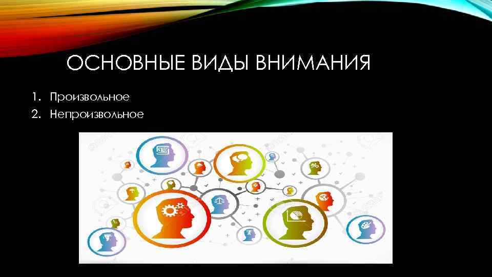 ОСНОВНЫЕ ВИДЫ ВНИМАНИЯ 1. Произвольное 2. Непроизвольное 