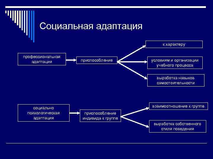 Социальная адаптация к характеру профессиональная адаптация приспособление условиям и организации учебного процесса выработка навыков