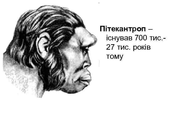 Пітекантроп – існував 700 тис. 27 тис. років тому 