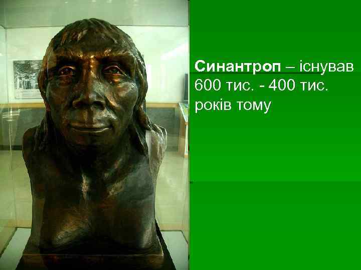 Синантроп – існував 600 тис. - 400 тис. років тому 