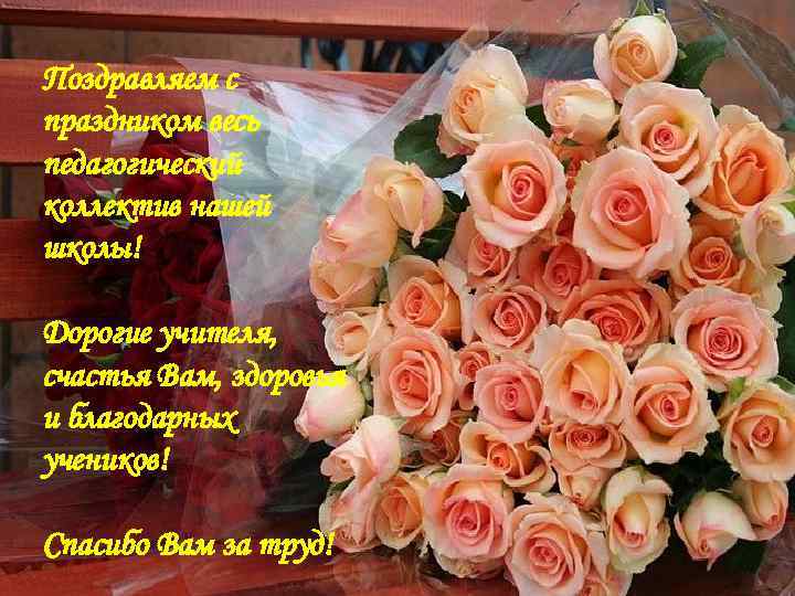 Поздравляем с праздником весь педагогический коллектив нашей школы! Дорогие учителя, счастья Вам, здоровья и