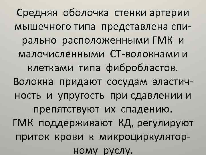 Средняя оболочка стенки артерии мышечного типа представлена спирально расположенными ГМК и малочисленными СТ-волокнами и