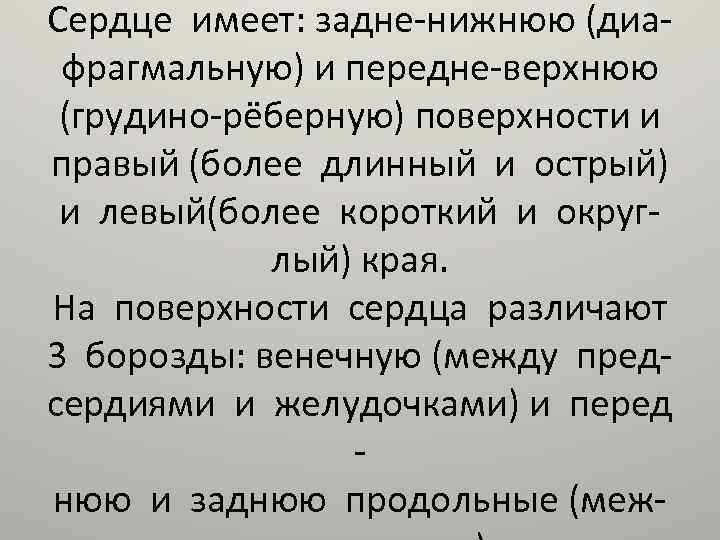 Сердце имеет: задне-нижнюю (диафрагмальную) и передне-верхнюю (грудино-рёберную) поверхности и правый (более длинный и острый)