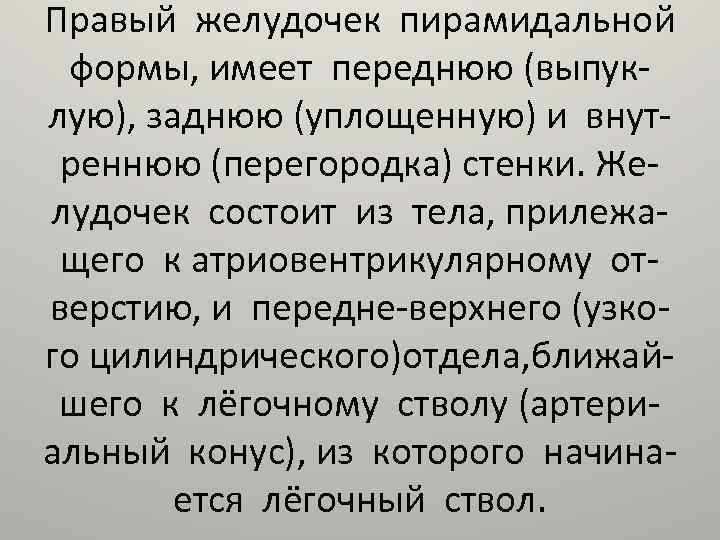 Правый желудочек пирамидальной формы, имеет переднюю (выпуклую), заднюю (уплощенную) и внутреннюю (перегородка) стенки. Желудочек
