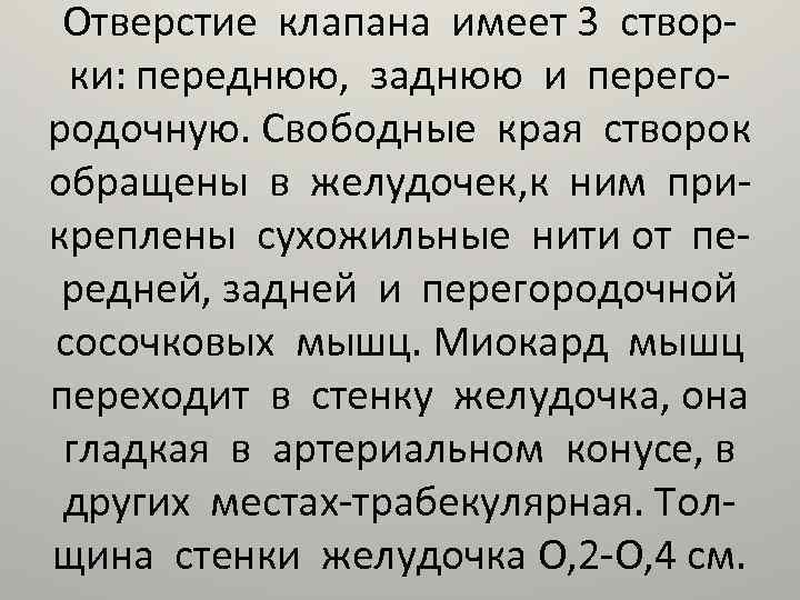 Отверстие клапана имеет 3 створки: переднюю, заднюю и перегородочную. Свободные края створок обращены в