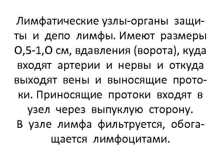 Лимфатические узлы-органы защиты и депо лимфы. Имеют размеры О, 5 -1, О см, вдавления