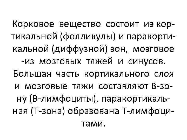 Корковое вещество состоит из кортикальной (фолликулы) и паракортикальной (диффузной) зон, мозговое -из мозговых тяжей