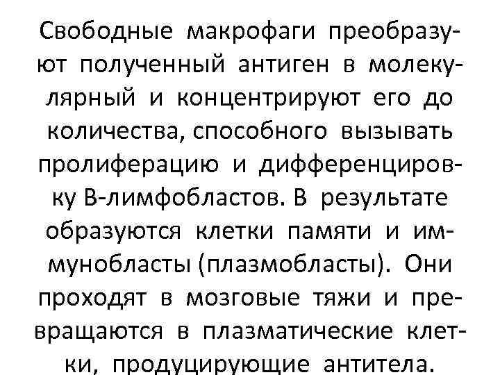 Свободные макрофаги преобразуют полученный антиген в молекулярный и концентрируют его до количества, способного вызывать