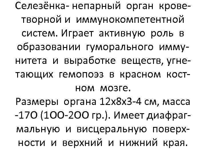 Селезёнка- непарный орган кроветворной и иммунокомпетентной систем. Играет активную роль в образовании гуморального иммунитета