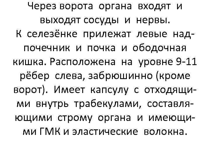 Через ворота органа входят и выходят сосуды и нервы. К селезёнке прилежат левые надпочечник