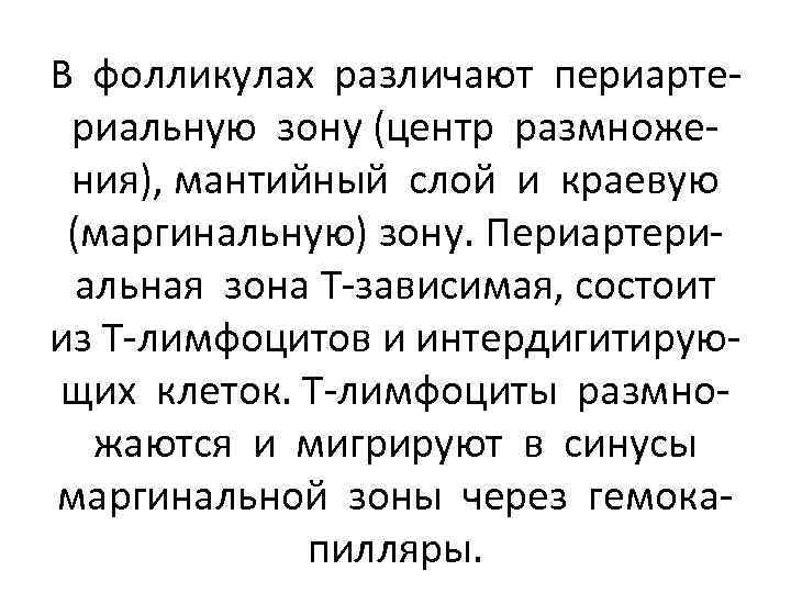 В фолликулах различают периартериальную зону (центр размножения), мантийный слой и краевую (маргинальную) зону. Периартериальная