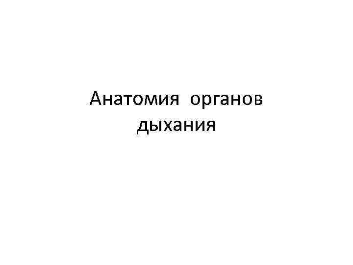 Анатомия органов дыхания 