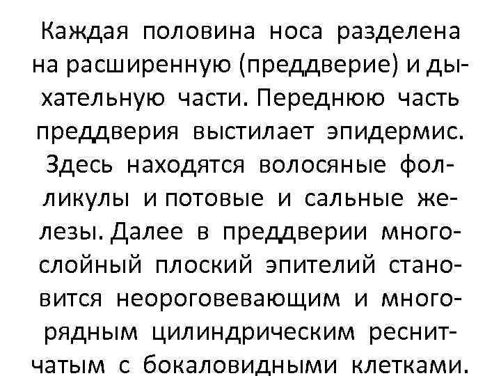 Каждая половина носа разделена на расширенную (преддверие) и дыхательную части. Переднюю часть преддверия выстилает