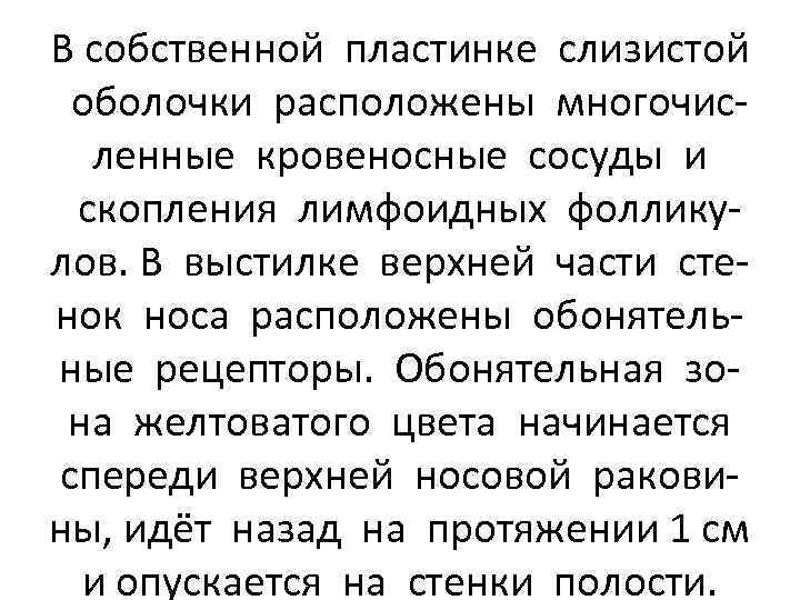 В собственной пластинке слизистой оболочки расположены многочисленные кровеносные сосуды и скопления лимфоидных фолликулов. В