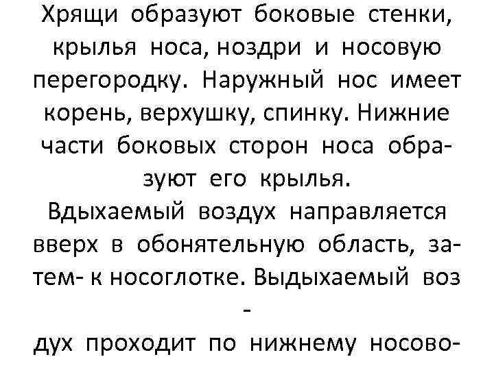 Хрящи образуют боковые стенки, крылья носа, ноздри и носовую перегородку. Наружный нос имеет корень,