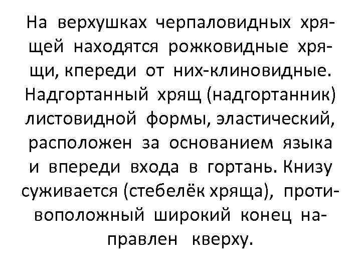 На верхушках черпаловидных хрящей находятся рожковидные хрящи, кпереди от них-клиновидные. Надгортанный хрящ (надгортанник) листовидной