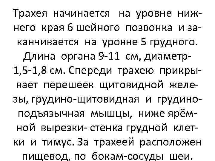Трахея начинается на уровне нижнего края 6 шейного позвонка и заканчивается на уровне 5