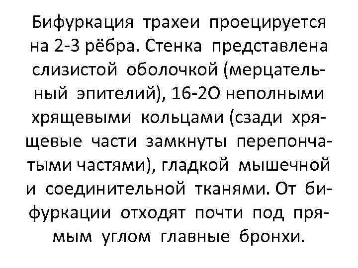 Бифуркация трахеи проецируется на 2 -3 рёбра. Стенка представлена слизистой оболочкой (мерцательный эпителий), 16