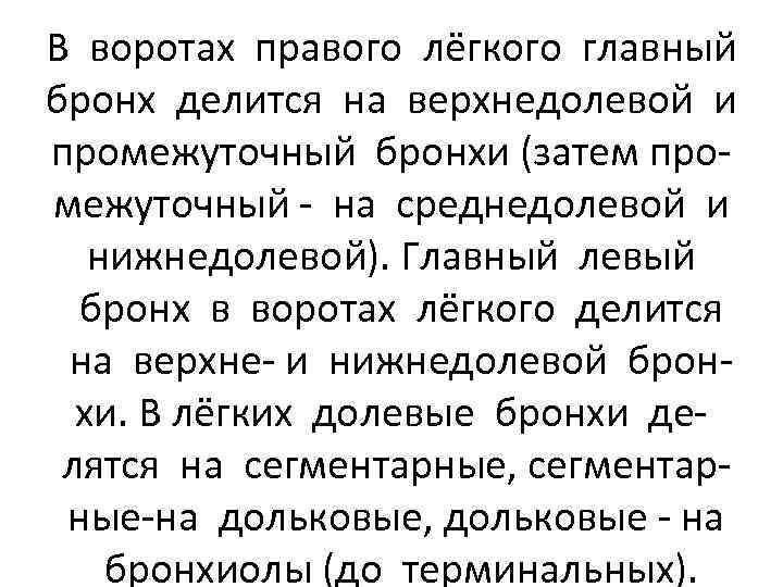 В воротах правого лёгкого главный бронх делится на верхнедолевой и промежуточный бронхи (затем промежуточный