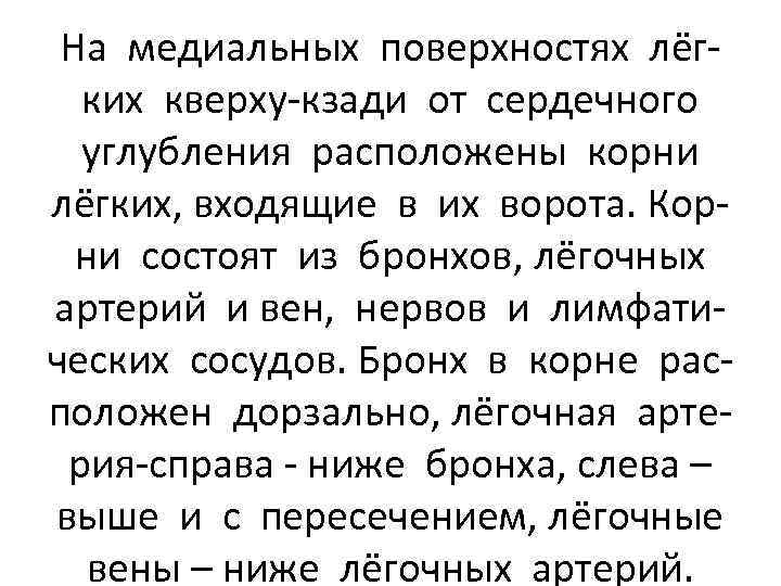 На медиальных поверхностях лёгких кверху-кзади от сердечного углубления расположены корни лёгких, входящие в их