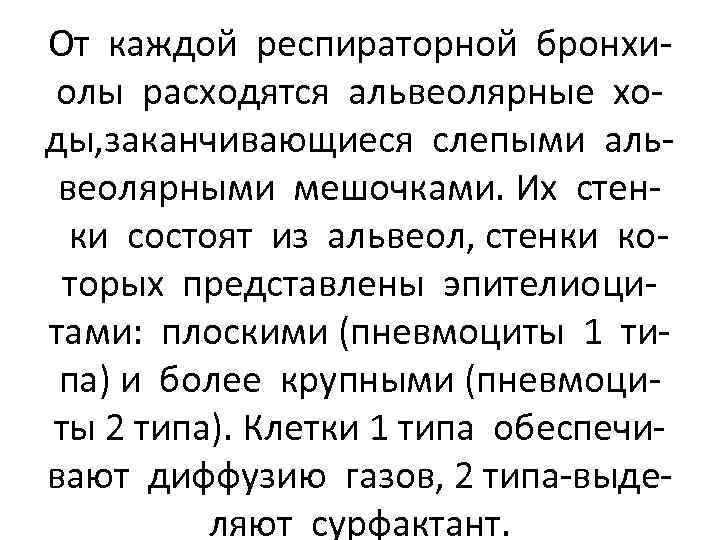 От каждой респираторной бронхиолы расходятся альвеолярные ходы, заканчивающиеся слепыми альвеолярными мешочками. Их стенки состоят
