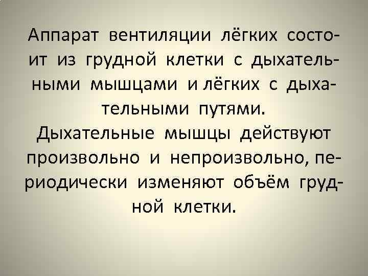 Аппарат вентиляции лёгких состоит из грудной клетки с дыхательными мышцами и лёгких с дыхательными