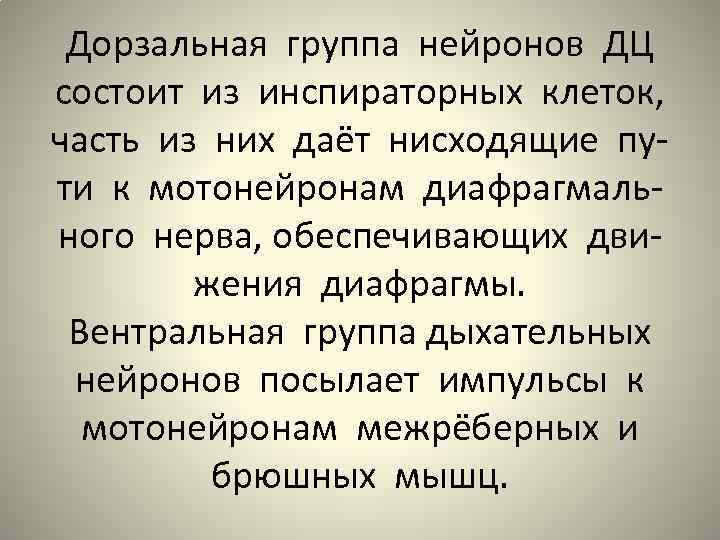 Дорзальная группа нейронов ДЦ состоит из инспираторных клеток, часть из них даёт нисходящие пути