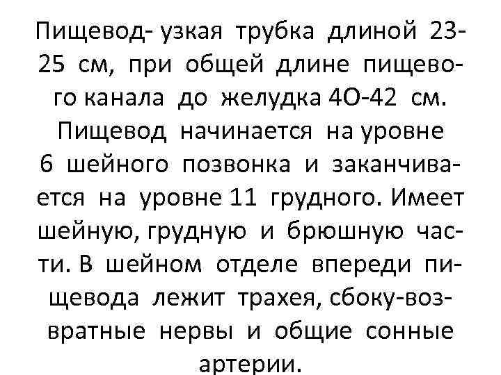 Пищевод- узкая трубка длиной 2325 см, при общей длине пищевого канала до желудка 4