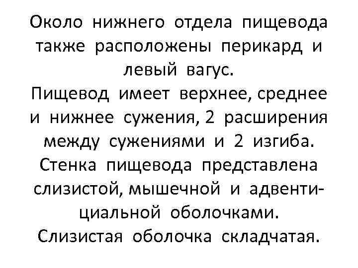 Около нижнего отдела пищевода также расположены перикард и левый вагус. Пищевод имеет верхнее, среднее
