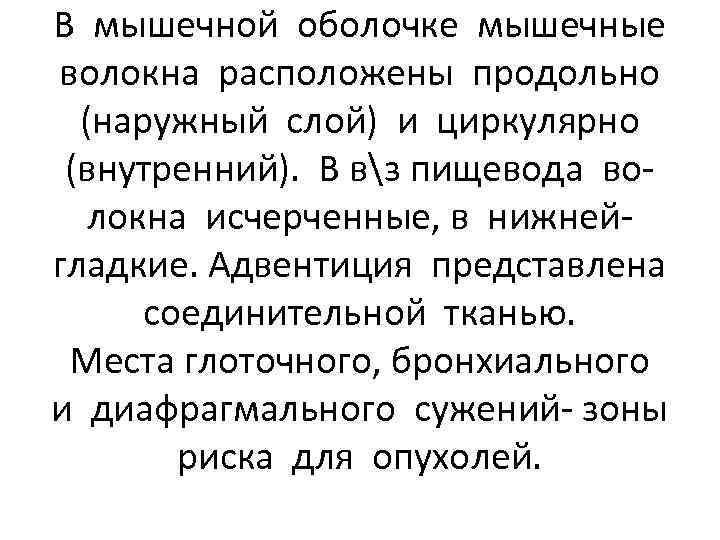 В мышечной оболочке мышечные волокна расположены продольно (наружный слой) и циркулярно (внутренний). В вз