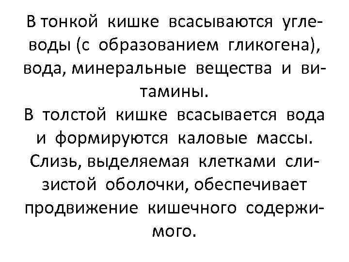 В тонкой кишке всасываются углеводы (с образованием гликогена), вода, минеральные вещества и витамины. В