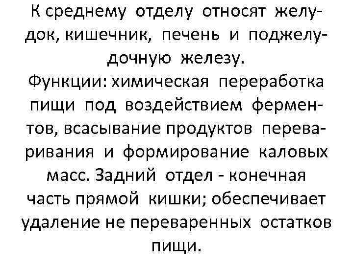 К среднему отделу относят желудок, кишечник, печень и поджелудочную железу. Функции: химическая переработка пищи