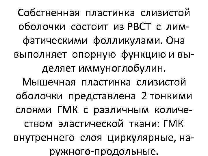 Собственная пластинка слизистой оболочки состоит из РВСТ с лимфатическими фолликулами. Она выполняет опорную функцию