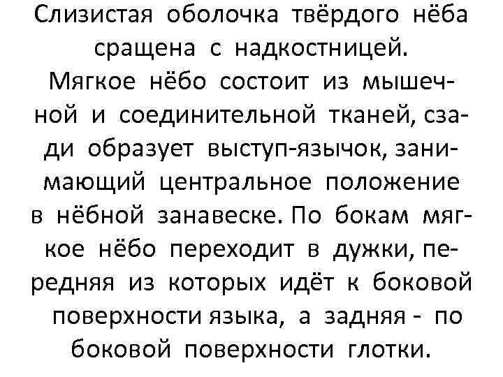 Слизистая оболочка твёрдого нёба сращена с надкостницей. Мягкое нёбо состоит из мышечной и соединительной