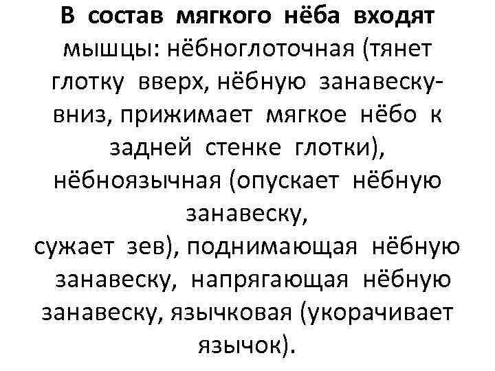 В состав мягкого нёба входят мышцы: нёбноглоточная (тянет глотку вверх, нёбную занавескувниз, прижимает мягкое