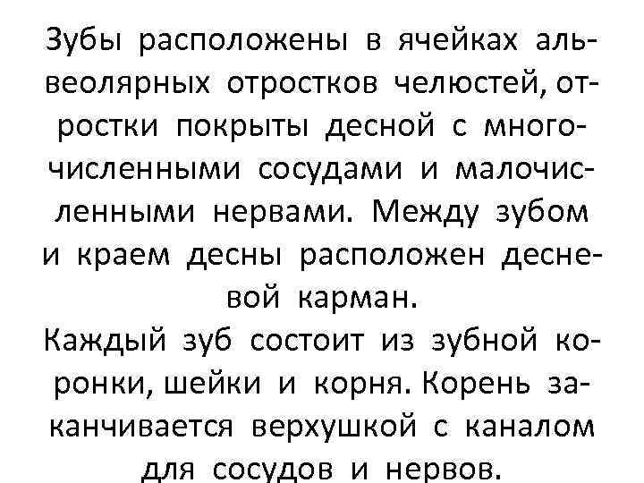 Зубы расположены в ячейках альвеолярных отростков челюстей, отростки покрыты десной с многочисленными сосудами и