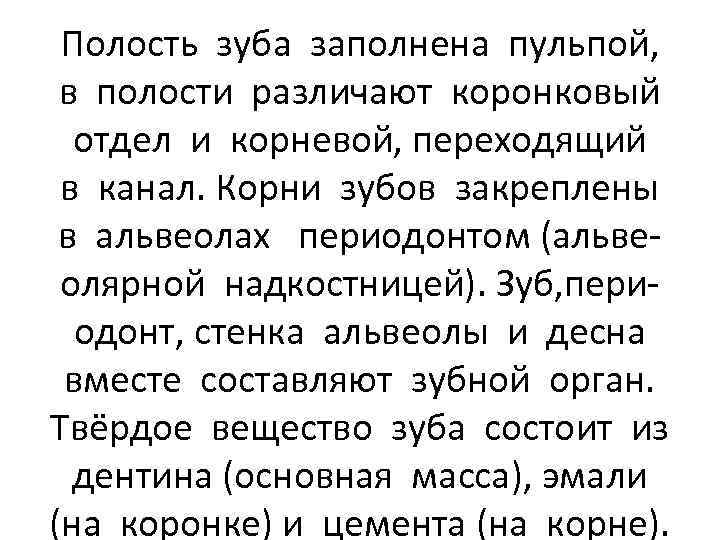 Полость зуба заполнена пульпой, в полости различают коронковый отдел и корневой, переходящий в канал.
