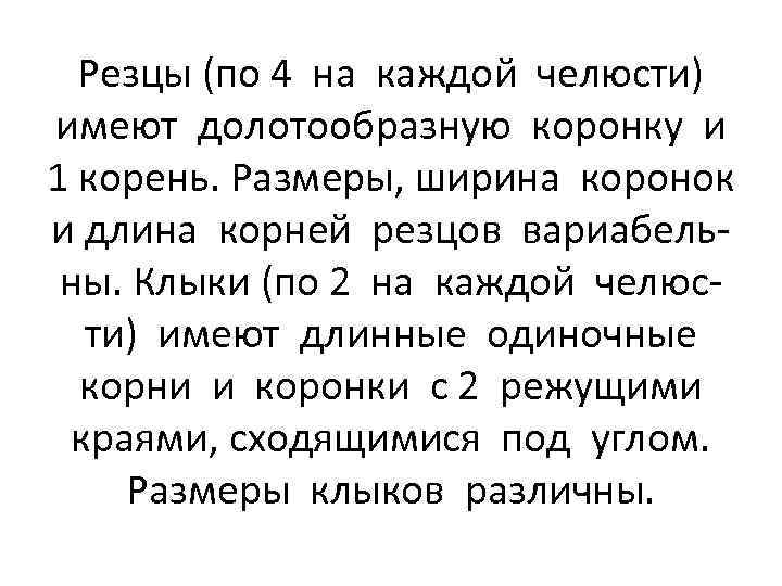 Резцы (по 4 на каждой челюсти) имеют долотообразную коронку и 1 корень. Размеры, ширина