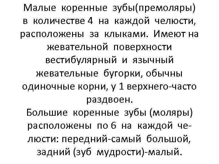 Малые коренные зубы(премоляры) в количестве 4 на каждой челюсти, расположены за клыками. Имеют на