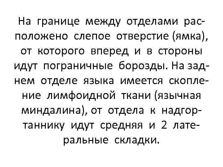 На границе между отделами расположено слепое отверстие (ямка), от которого вперед и в стороны