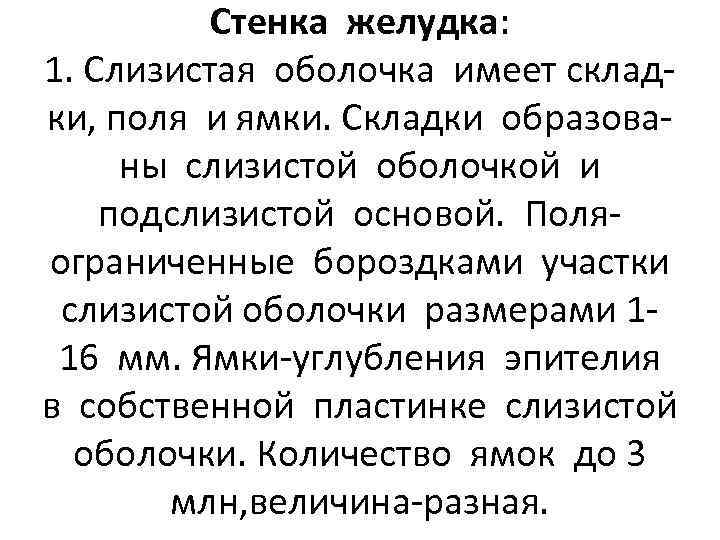 Стенка желудка: 1. Слизистая оболочка имеет складки, поля и ямки. Складки образованы слизистой оболочкой