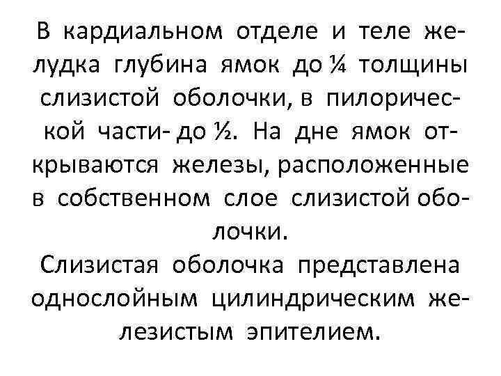 В кардиальном отделе и теле желудка глубина ямок до ¼ толщины слизистой оболочки, в