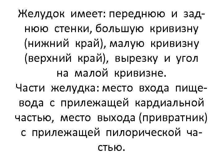Желудок имеет: переднюю и заднюю стенки, большую кривизну (нижний край), малую кривизну (верхний край),