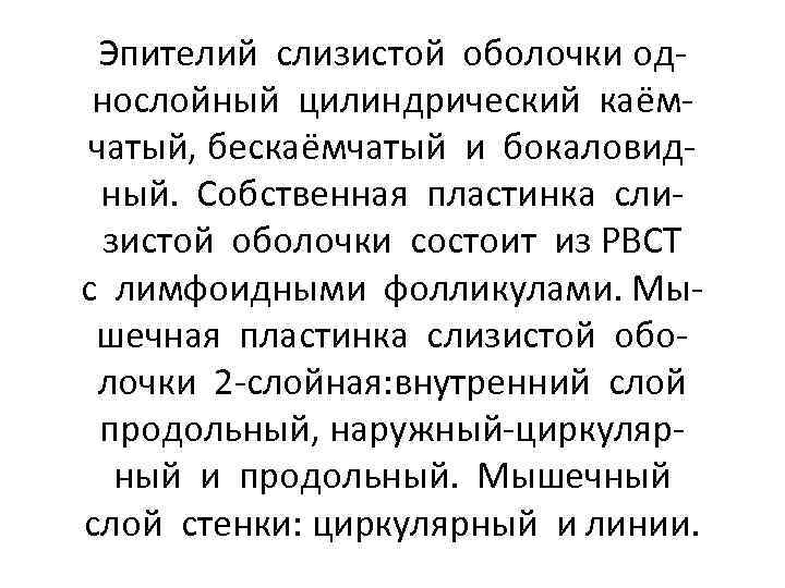 Эпителий слизистой оболочки однослойный цилиндрический каёмчатый, бескаёмчатый и бокаловидный. Собственная пластинка слизистой оболочки состоит