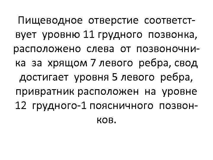 Пищеводное отверстие соответствует уровню 11 грудного позвонка, расположено слева от позвоночника за хрящом 7