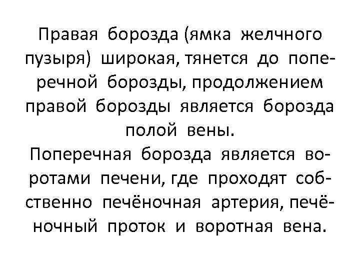 Правая борозда (ямка желчного пузыря) широкая, тянется до поперечной борозды, продолжением правой борозды является