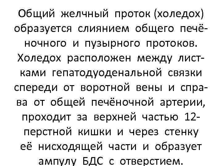 Общий желчный проток (холедох) образуется слиянием общего печёночного и пузырного протоков. Холедох расположен между