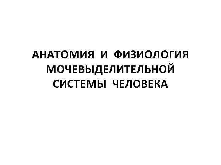 АНАТОМИЯ И ФИЗИОЛОГИЯ МОЧЕВЫДЕЛИТЕЛЬНОЙ СИСТЕМЫ ЧЕЛОВЕКА 